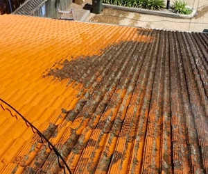 roof being cleaned